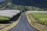 Straße von Mackay nach Eungella von Tourism Queensland c/o Global Spot